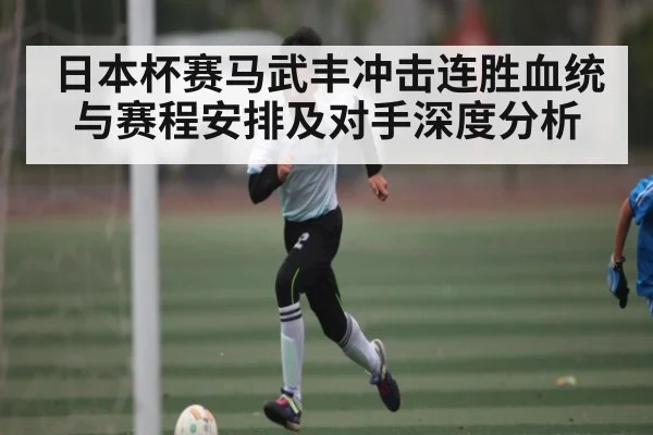 日本杯赛马武丰冲击连胜血统与赛程安排及对手深度分析